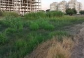 Городская земля под застройку на продажу у города Piles Фото