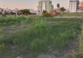 Городская земля под застройку на продажу у города Piles Фото