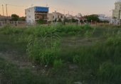 Городская земля под застройку на продажу у города Piles Фото