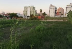 Foto 8
