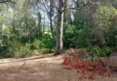 Xalet independent amb terreny en venda a la Camí de les Planes, Ador, ref.: TR327504 foto