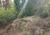 Xalet independent amb terreny en venda a la Camí de les Planes, Ador, ref.: TR327504 foto
