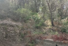 Foto 19