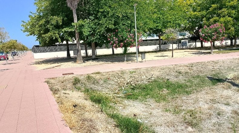 Valencia - Piles - 6512m2
