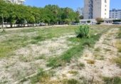 Городская земля под застройку на продажу у города Piles Фото