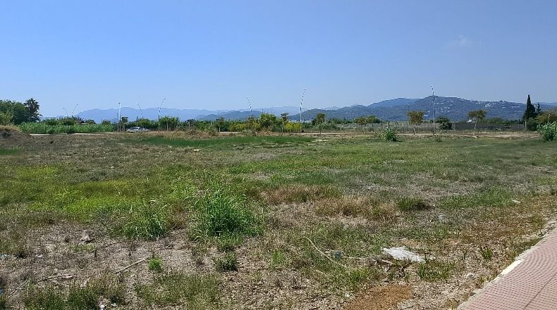 Valencia - Piles - 6512m2