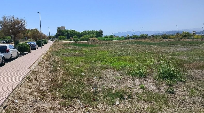 Valencia - Piles - 6512m2