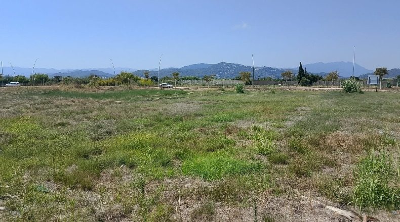 Valencia - Piles - 6512m2