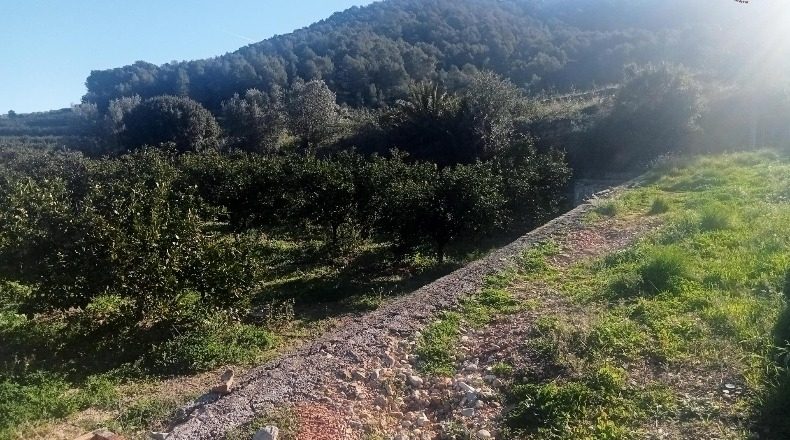 Valencia - Alfahuir - 15227m2