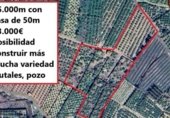 Terreno con Almacén en venta en la Camino del Murtar 50, Alfauir, ref: TR328183 foto