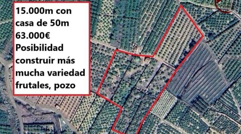 Valencia - Alfahuir - 15227m2