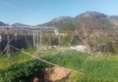 Terreno con Almacén en venta en la Camino del Murtar 50, Alfauir, ref: TR328183 foto