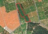 Land with storage building for sale on Partida Carrasca, Oliva, ref: TR328181 photo