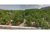 Land with storage building for sale on Partida Carrasca, Oliva, ref: TR328181 photo