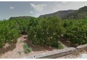 Land with storage building for sale on Partida Carrasca, Oliva, ref: TR328181 photo