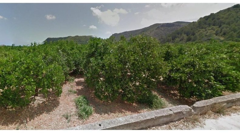 Valencia - Oliva - 4753m2