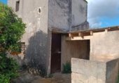 Land with storage building for sale on Partida Carrasca, Oliva, ref: TR328181 photo