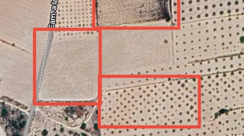 Albacete - Caudete - 10000m2