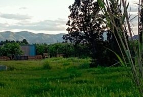 Foto 9