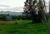 Prefabricated house with land for sale on Avenida Matisse, Oliva, ref: TR328178 photo