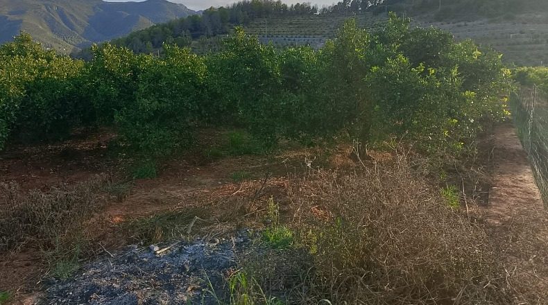 Valencia - Villalonga - 13968m2