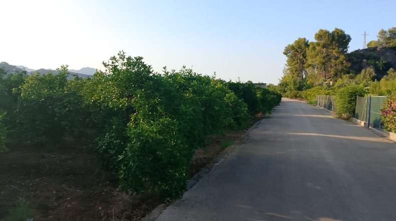 Valencia - Villalonga - 13968m2