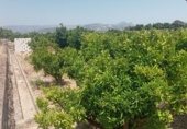 Country house with land for sale on Camí d’Oliva, La Font d'en Carròs, ref: TR327927 photo