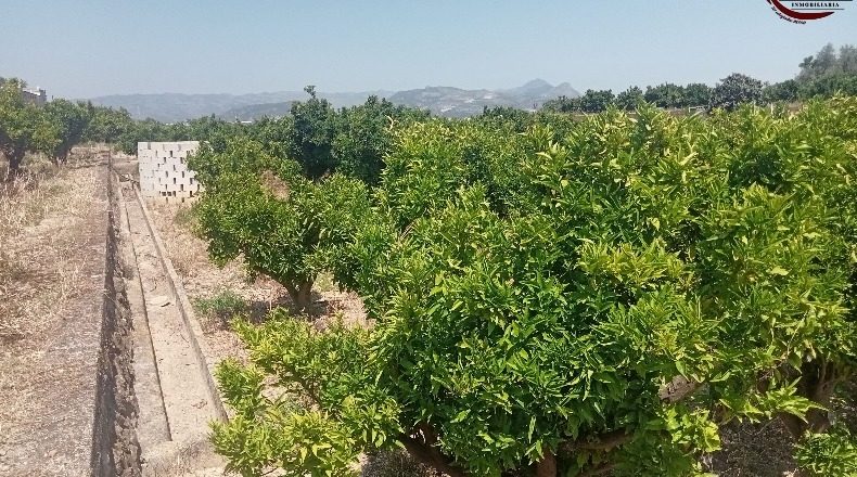 Valencia - Fuente Encarroz - 13000m2