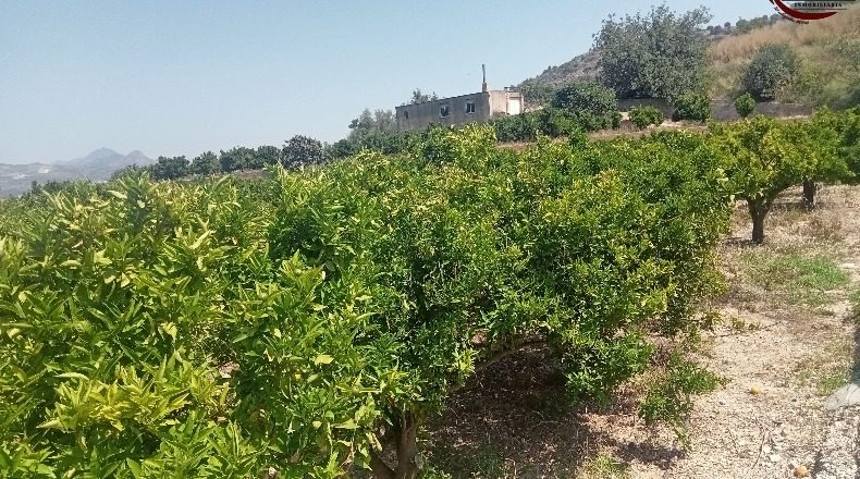 Valencia - Fuente Encarroz - 13000m2