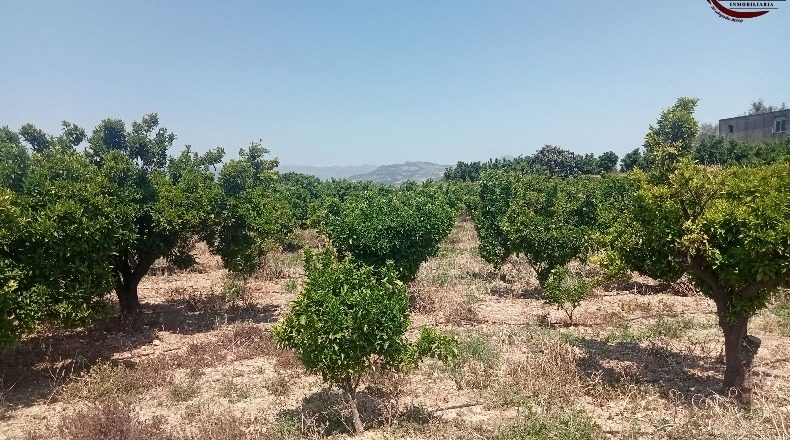 Valencia - Fuente Encarroz - 13000m2