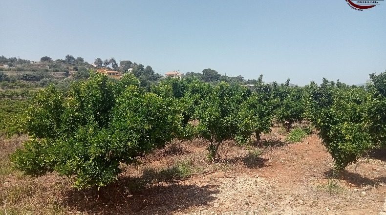 Valencia - Fuente Encarroz - 13000m2