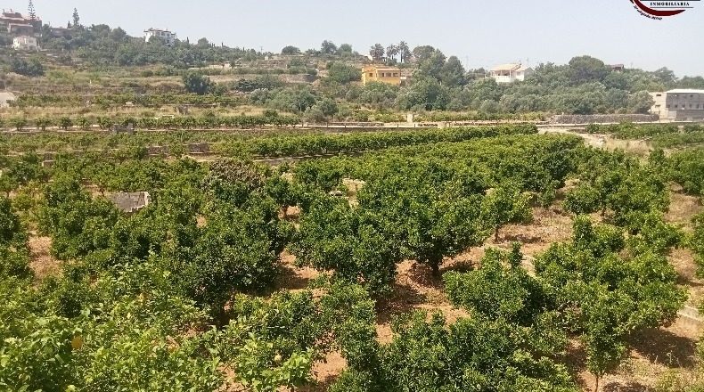 Valencia - Fuente Encarroz - 13000m2