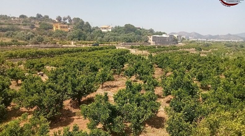 Valencia - Fuente Encarroz - 13000m2