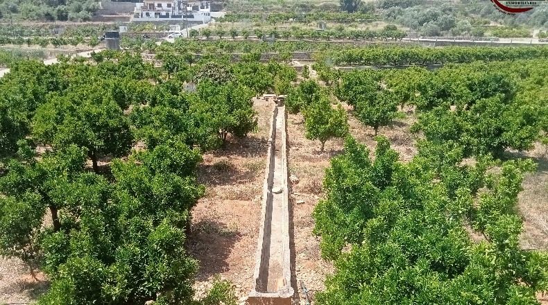 Valencia - Fuente Encarroz - 13000m2