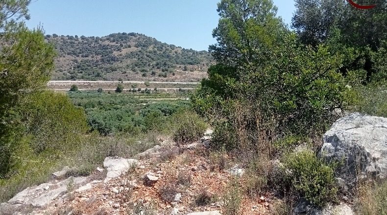 Valencia - Fuente Encarroz - 13000m2
