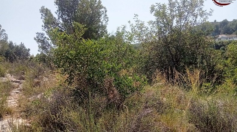Valencia - Fuente Encarroz - 13000m2
