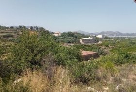Foto 15