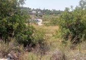 Country house with land for sale on Camí d’Oliva, La Font d'en Carròs, ref: TR327927 photo