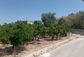Foto 19