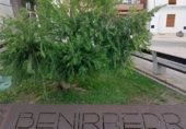 Городская земля под застройку на продажу у города Benirredrà Фото