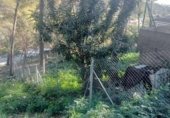 Городская земля под застройку на продажу у города Gandia Фото