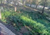 Городская земля под застройку на продажу у города Gandia Фото