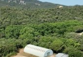 Фермерский дом с участком на продажу в городе Tossa de Mar Фото