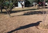 Land with storage building for sale on Polígono 20, Vila-real, ref: TR328174 photo
