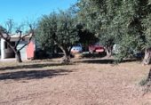 Land with storage building for sale on Polígono 20, Vila-real, ref: TR328174 photo