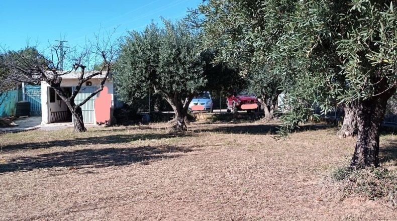 Cáceres - Villarreal de San Carlos - 831m2
