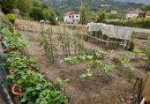 Land suitable for development for sale on Polígono 122 Parcela 319 HUERTA. LAVIANA (ASTURIAS), Ribota, ref: TR328214 photo