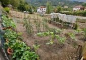 Land suitable for development for sale on Polígono 122 Parcela 319 HUERTA. LAVIANA (ASTURIAS), Ribota, ref: TR328214 photo