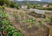 Land suitable for development for sale on Polígono 122 Parcela 319 HUERTA. LAVIANA (ASTURIAS), Ribota, ref: TR328214 photo