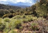 Parcel·la urbanitzable en venda a la Carrer Pas 4, Lloret de Mar, ref.: TR328240 foto